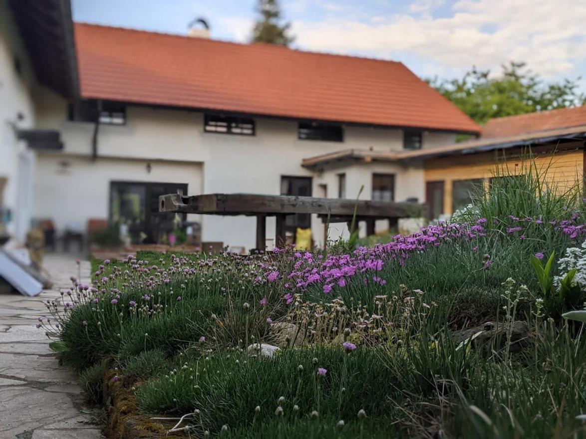 Chalupa U Rybnika Strehom Dolní Bousov Exteriör bild